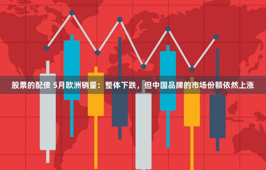 股票的配债 5月欧洲销量：整体下跌，但中国品牌的市场份额依然上涨