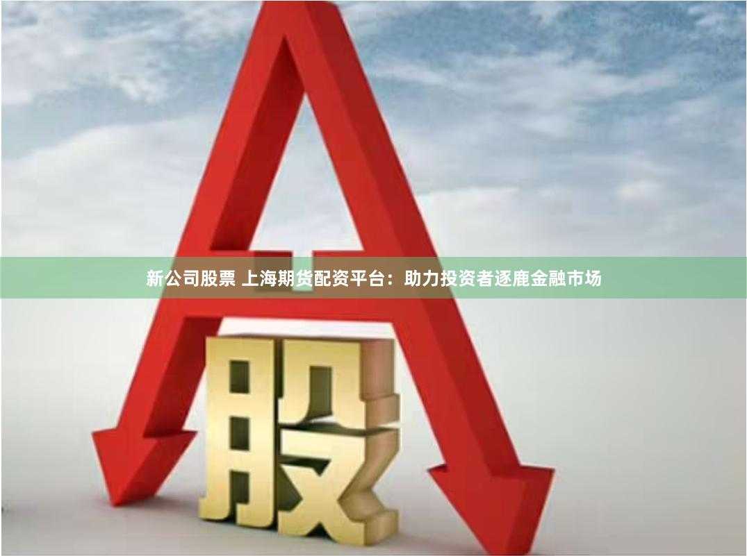 新公司股票 上海期货配资平台：助力投资者逐鹿金融市场