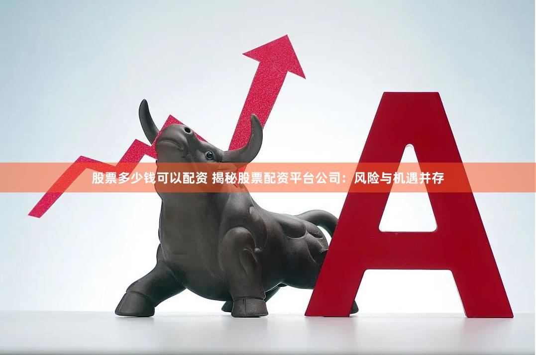 股票多少钱可以配资 揭秘股票配资平台公司：风险与机遇并存